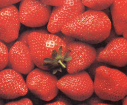 fresas.jpg