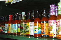 SALSA.JPG