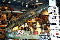 SHOP.JPG