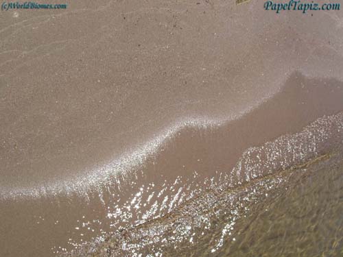 playa.jpg