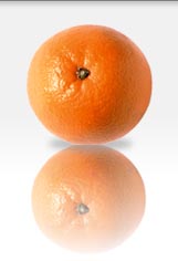 somitos4.jpg