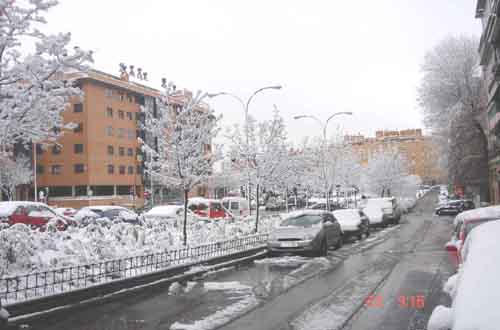 DSC00902.jpg