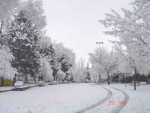 DSC00909.jpg