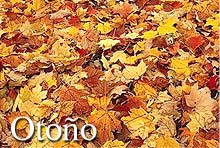 otono.jpg