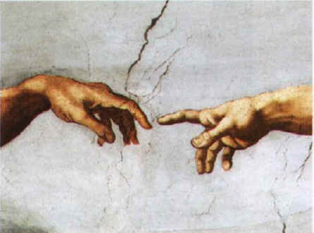 zcap_cis_creacion_adan_detalle.jpg