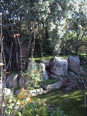 jardin2.JPG