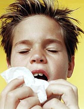 fresfriado.jpg