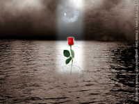 yahoo_image01.png