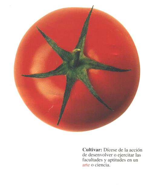 tomate.jpg