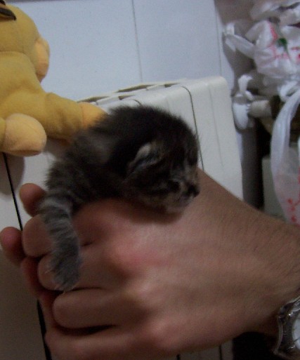 100_0114.JPG