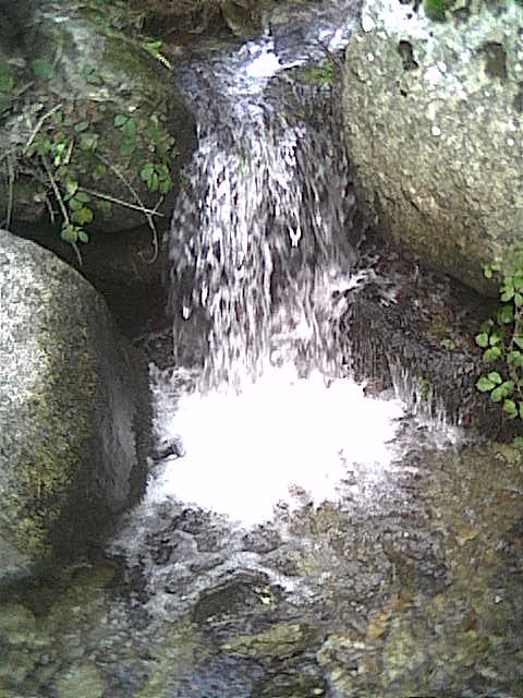 Cam000073.JPG