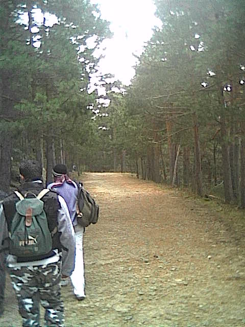 Cam000075.JPG