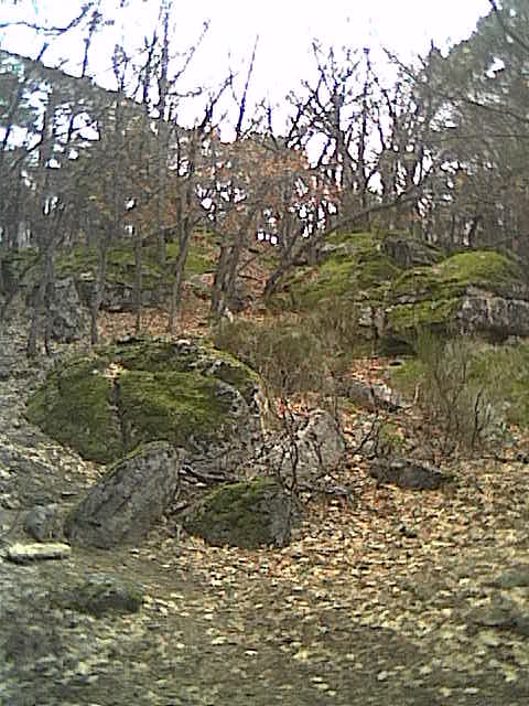Cam000079.JPG