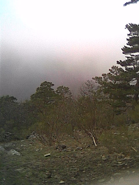 Cam000080.JPG