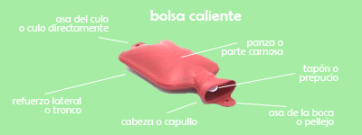 Partes de una bolsa caliente Partes de una bolsa caliente