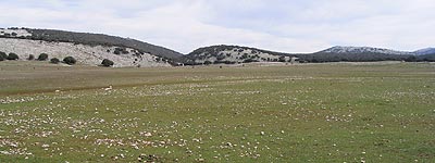 La Nava