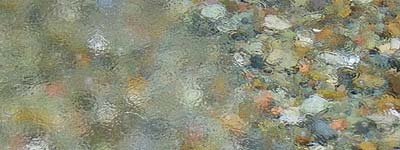 Agua sobre el agua lluvia