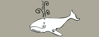 La ballena blanca en la inmensidad La ballena blanca en la inmensidad