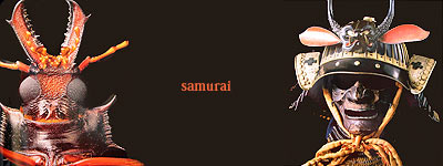 Comparaciones entre un escarabajo japonés y el traje samurai Escarabajo y samurai