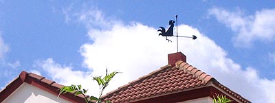 Veleta del gallo ahorcado Veleta del gallo ahorcado