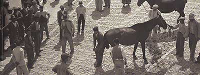 Verger: Arcos de la Frontera, 1935 Verger: Arcos de la Frontera, 1935
