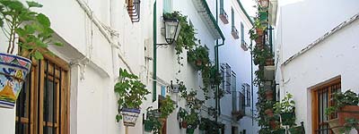 Sombras y luces
