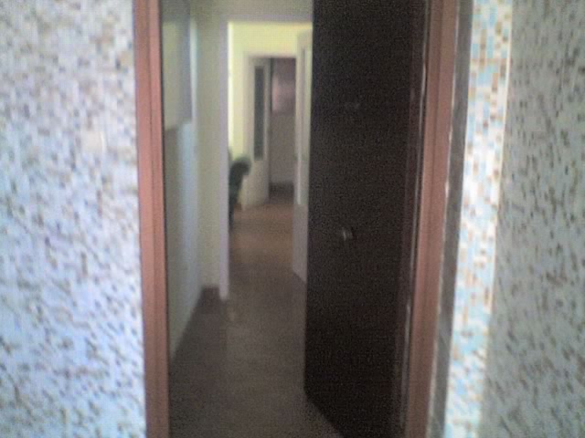 03-09-06_1100.jpg