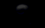 Calaca1.gif