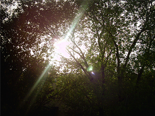 atardecer.jpg