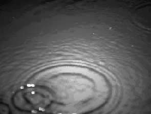 Raining ... 