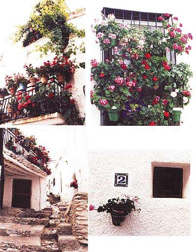 capileira.jpg