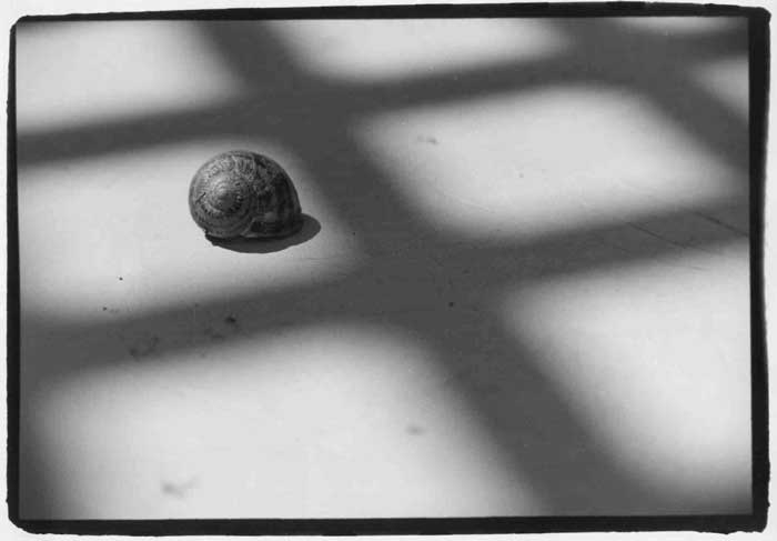 caracol.jpg
