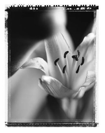 caress.jpg