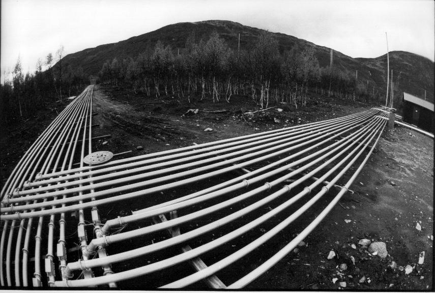 lineas.jpg