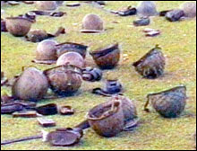 Adi�s a las armas